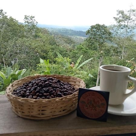 Hotel Green Mountain Turrialba Exterior photo