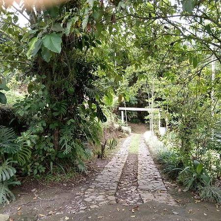 Hotel Green Mountain Turrialba Exterior photo