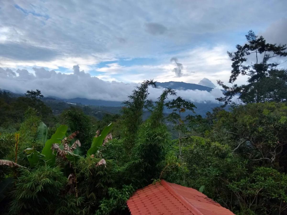 Hotel Green Mountain Turrialba Exterior photo
