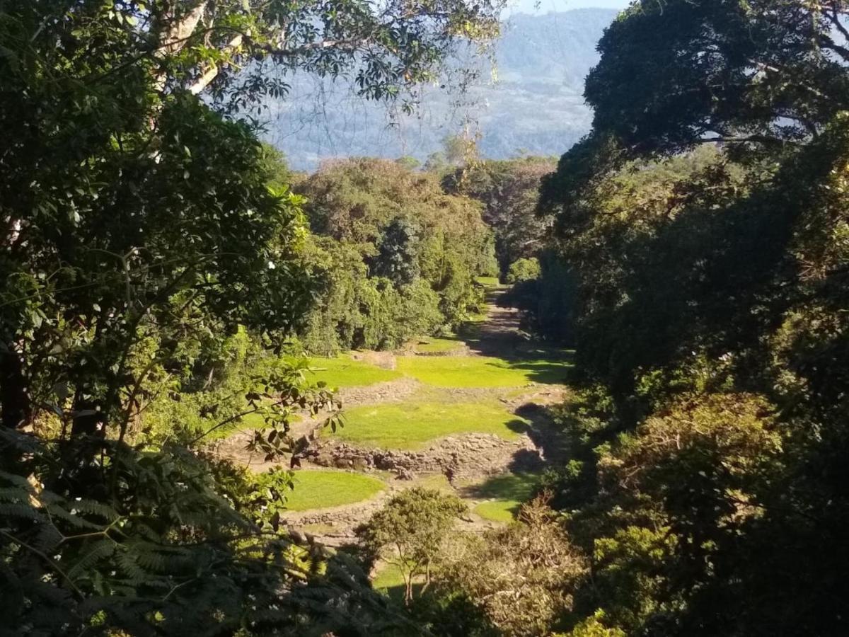 Hotel Green Mountain Turrialba Exterior photo