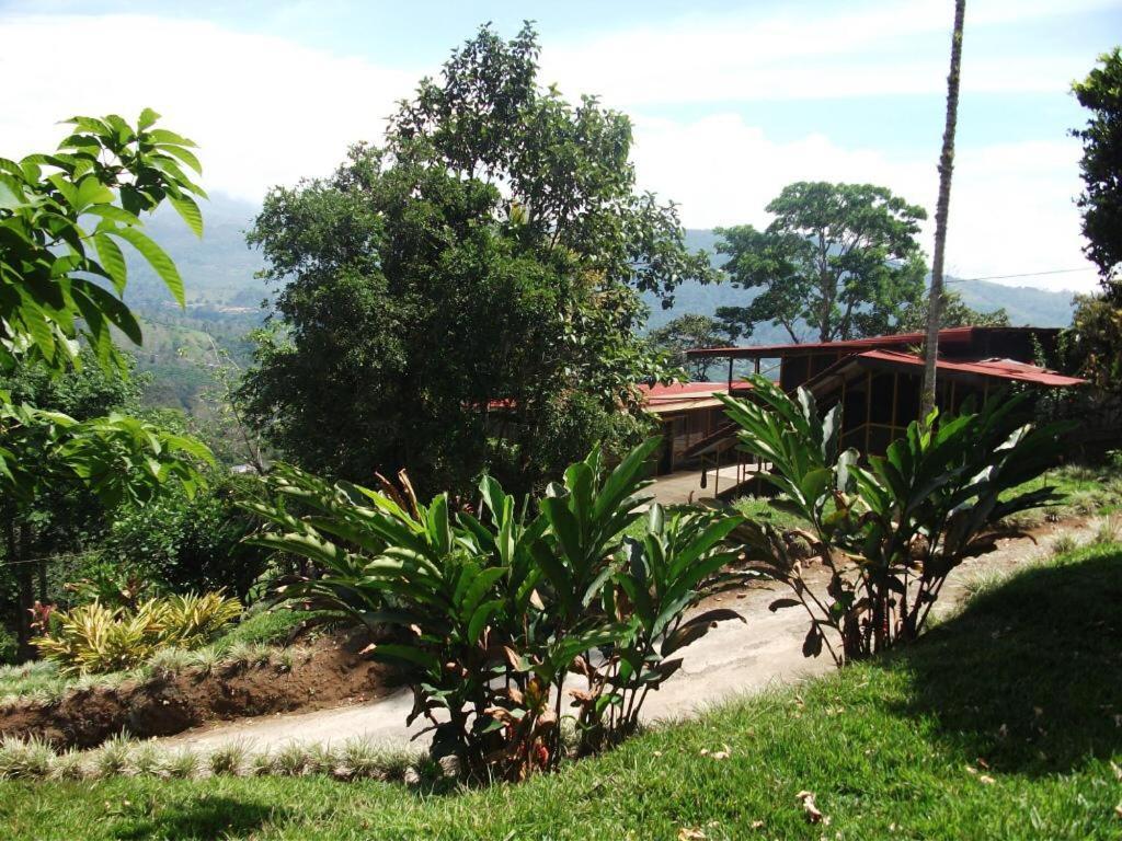 Hotel Green Mountain Turrialba Exterior photo