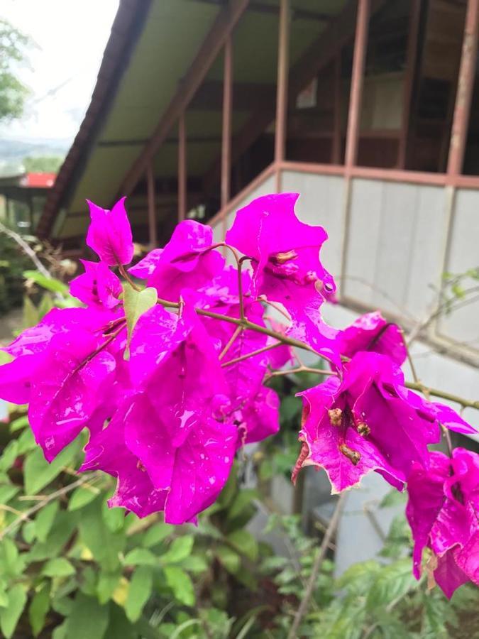 Hotel Green Mountain Turrialba Exterior photo