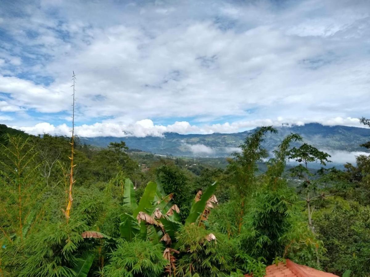Hotel Green Mountain Turrialba Exterior photo