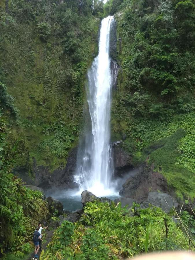 Hotel Green Mountain Turrialba Exterior photo