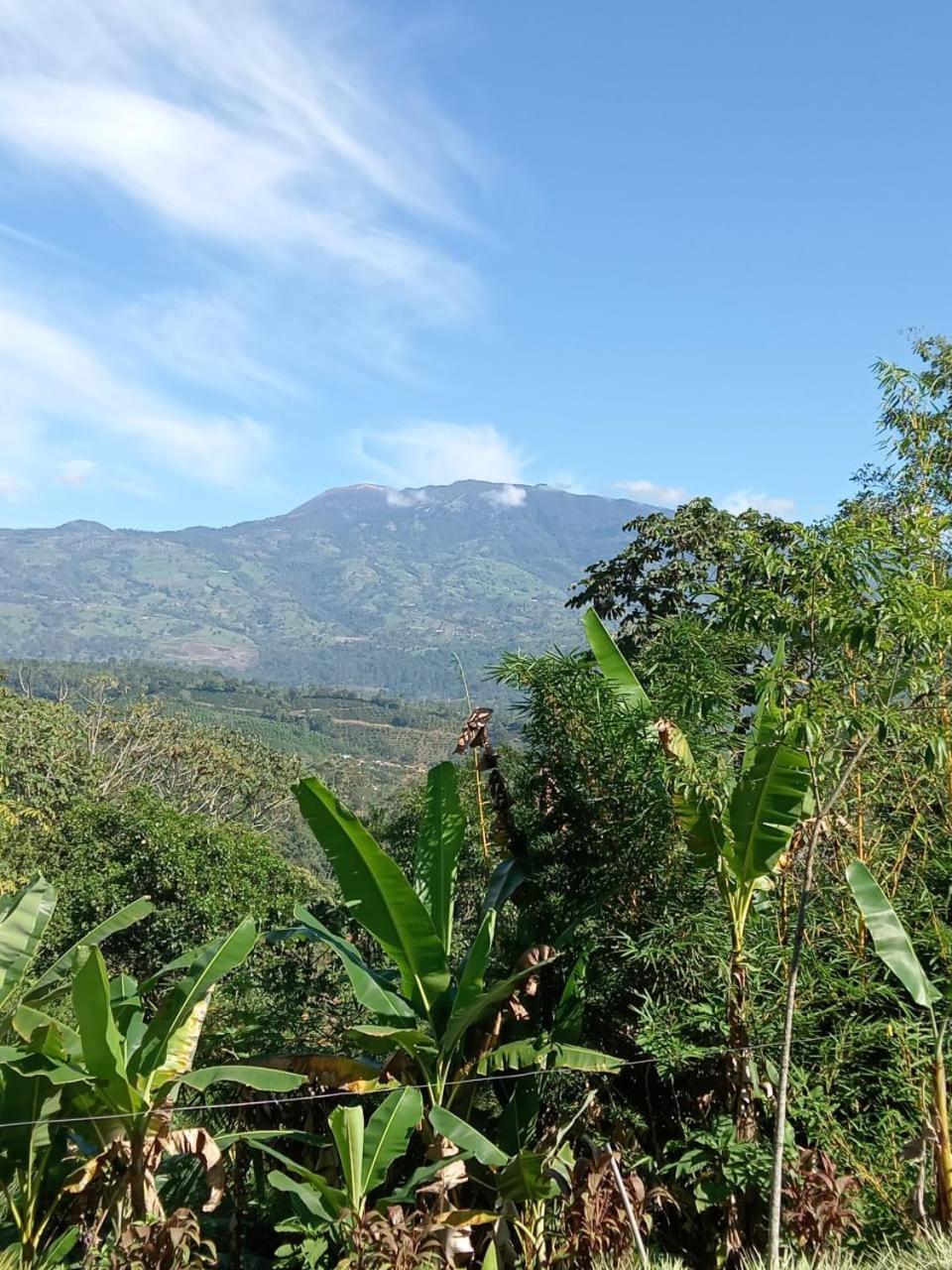 Hotel Green Mountain Turrialba Exterior photo