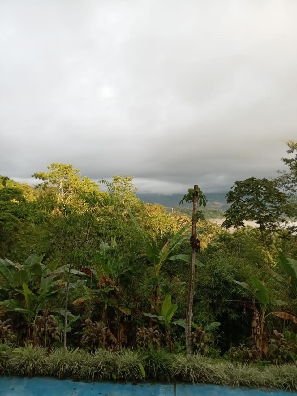 Hotel Green Mountain Turrialba Exterior photo