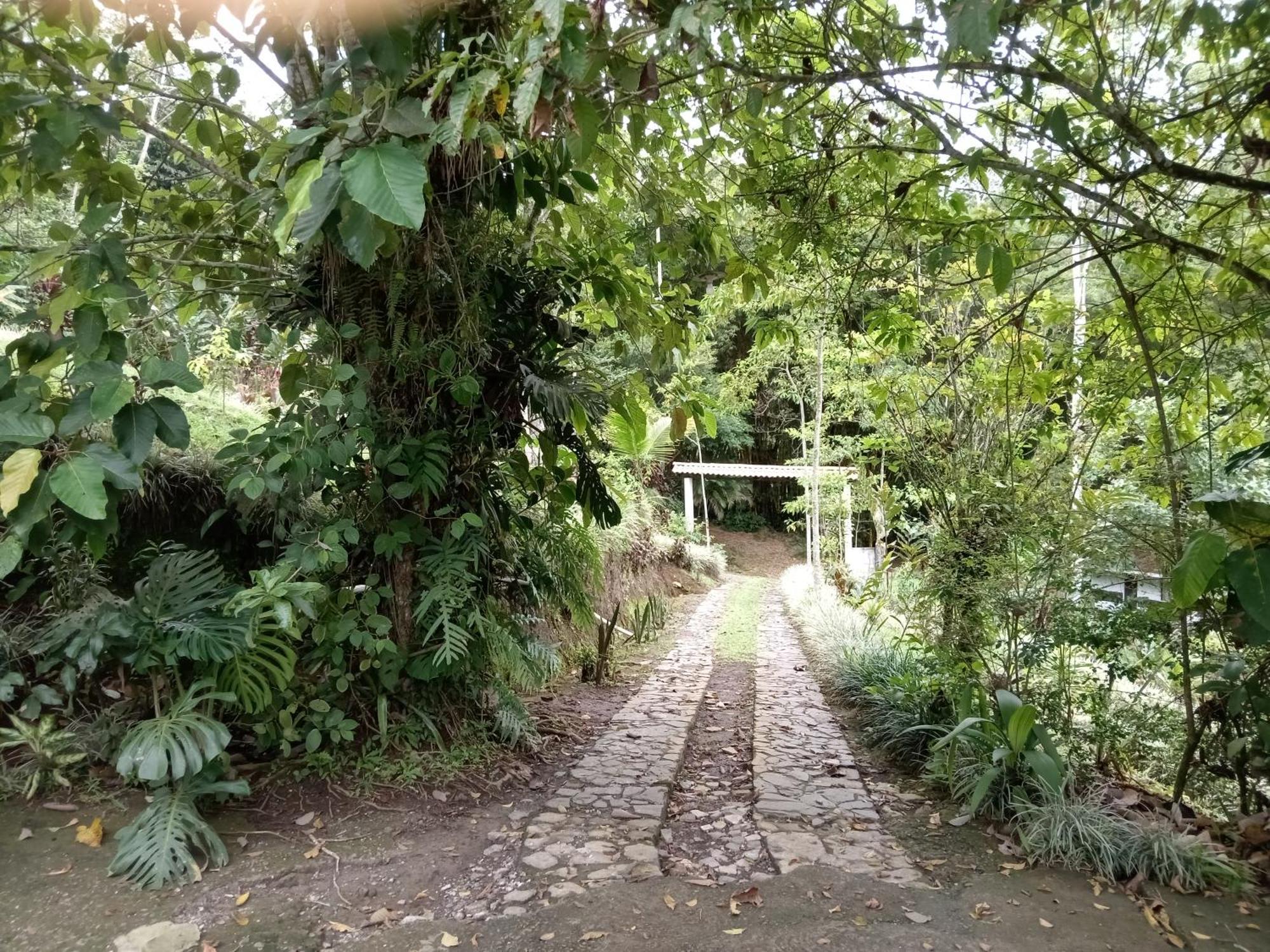 Hotel Green Mountain Turrialba Exterior photo