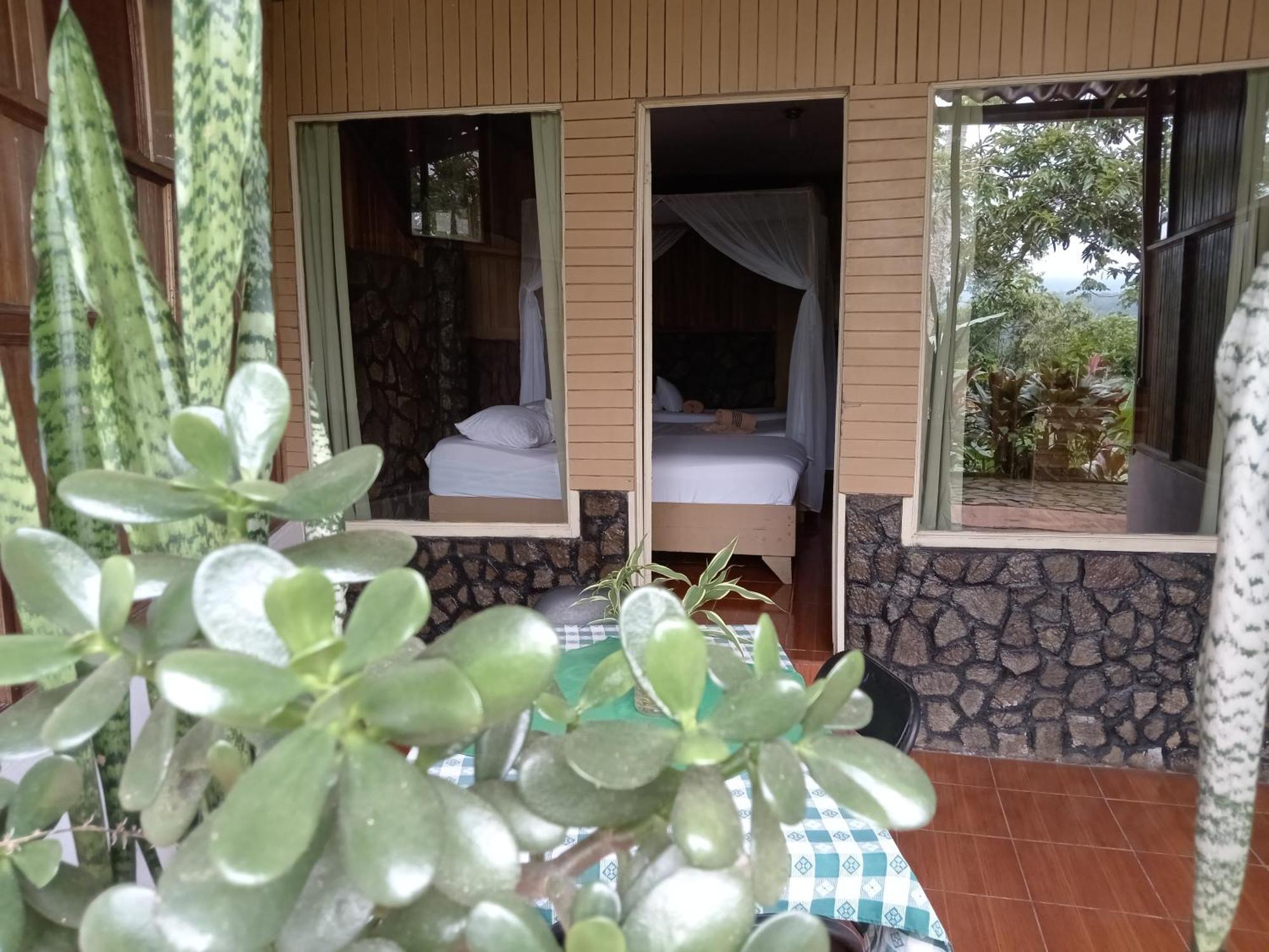 Hotel Green Mountain Turrialba Exterior photo