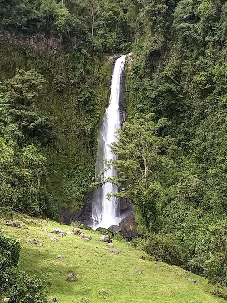 Hotel Green Mountain Turrialba Exterior photo